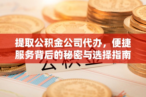 镇赉提取公积金公司代办，便捷服务背后的秘密与选择指南