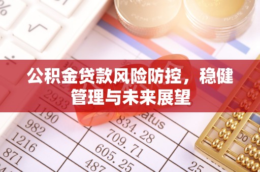镇赉公积金贷款风险防控，稳健管理与未来展望