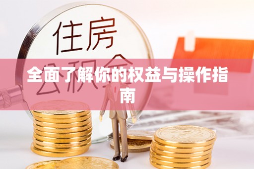 镇赉全面了解你的权益与操作指南