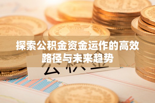 镇赉探索公积金资金运作的高效路径与未来趋势