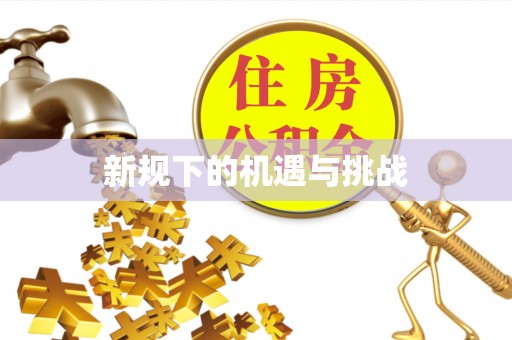 镇赉新规下的机遇与挑战