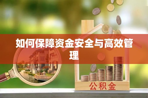 镇赉如何保障资金安全与高效管理