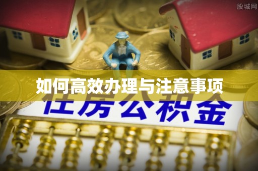 镇赉如何高效办理与注意事项
