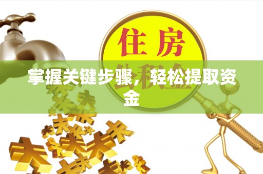 镇赉掌握关键步骤，轻松提取资金