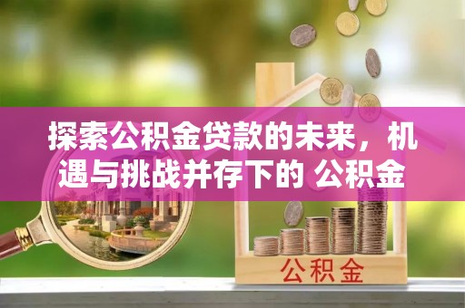 镇赉探索公积金贷款的未来，机遇与挑战并存下的 公积金贷款风险防控