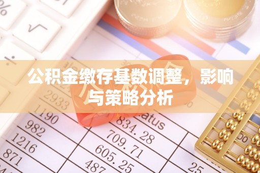 镇赉公积金缴存基数调整，影响与策略分析