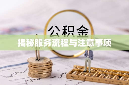 镇赉揭秘服务流程与注意事项