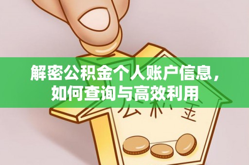 镇赉解密公积金个人账户信息，如何查询与高效利用