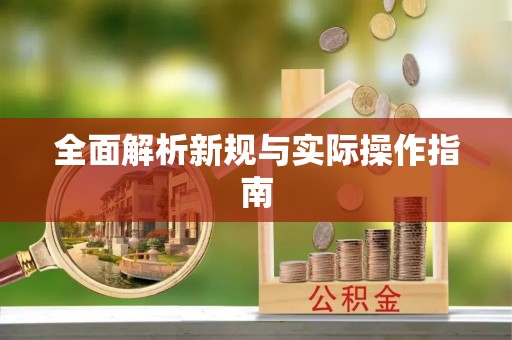 镇赉全面解析新规与实际操作指南