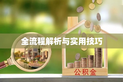镇赉全流程解析与实用技巧