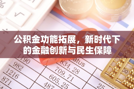 镇赉公积金功能拓展，新时代下的金融创新与民生保障