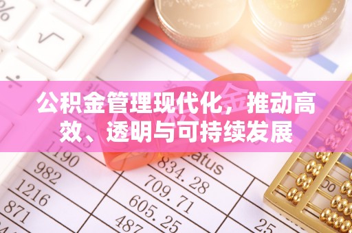 镇赉公积金管理现代化，推动高效、透明与可持续发展