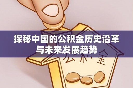 镇赉探秘中国的公积金历史沿革与未来发展趋势