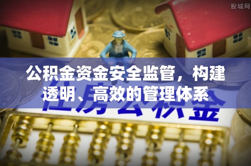 镇赉公积金资金安全监管，构建透明、高效的管理体系