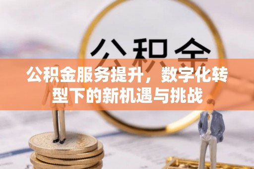 镇赉公积金服务提升，数字化转型下的新机遇与挑战