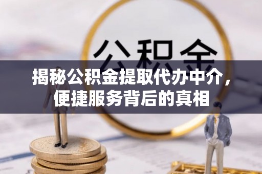 镇赉揭秘公积金提取代办中介，便捷服务背后的真相