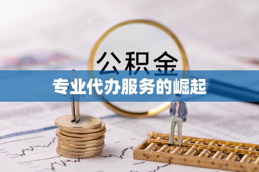 镇赉专业代办服务的崛起
