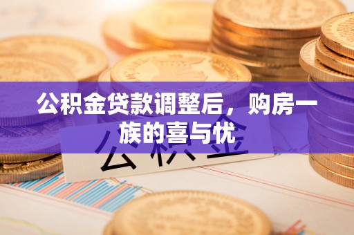 镇赉公积金贷款调整后，购房一族的喜与忧
