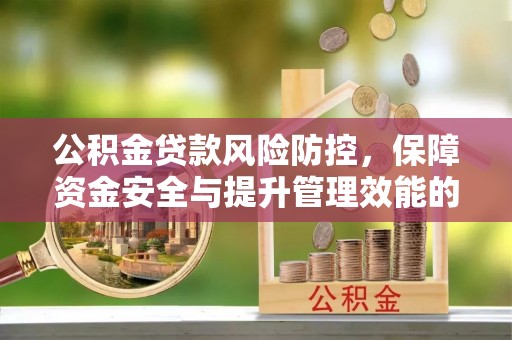 镇赉公积金贷款风险防控，保障资金安全与提升管理效能的多维度探索