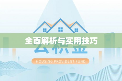 镇赉全面解析与实用技巧