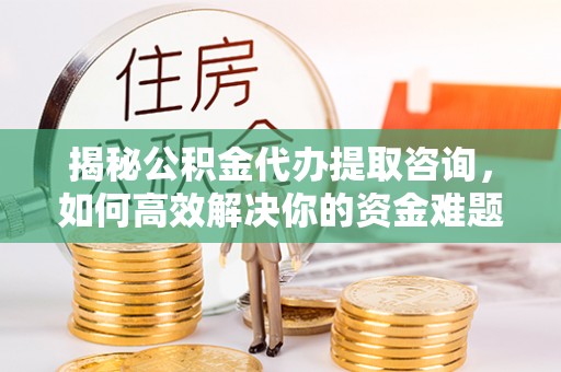 镇赉揭秘公积金代办提取咨询，如何高效解决你的资金难题