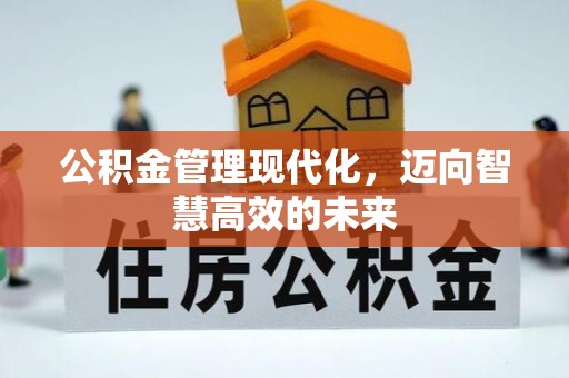 镇赉公积金管理现代化，迈向智慧高效的未来