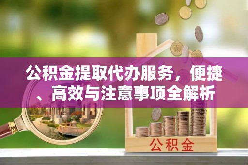 镇赉公积金提取代办服务，便捷、高效与注意事项全解析