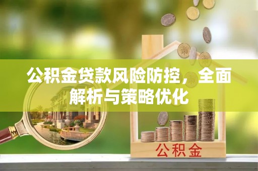 镇赉公积金贷款风险防控，全面解析与策略优化