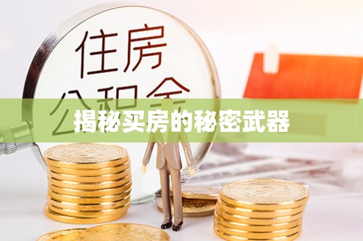 镇赉揭秘买房的秘密武器