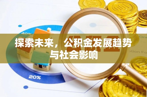 镇赉探索未来，公积金发展趋势与社会影响