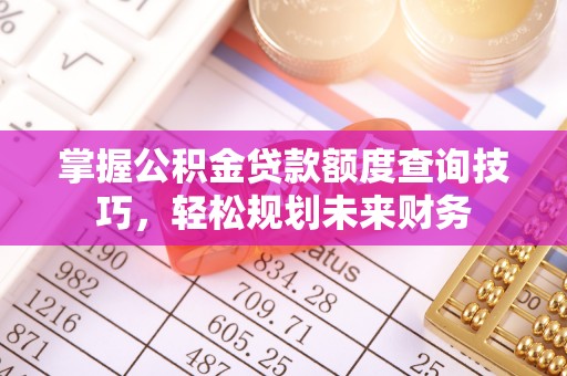镇赉掌握公积金贷款额度查询技巧，轻松规划未来财务