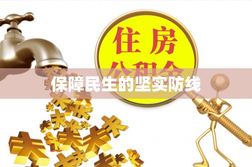 镇赉保障民生的坚实防线