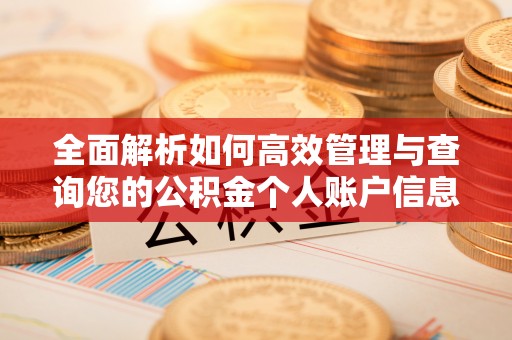 镇赉全面解析如何高效管理与查询您的公积金个人账户信息