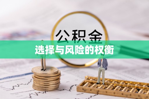 镇赉选择与风险的权衡