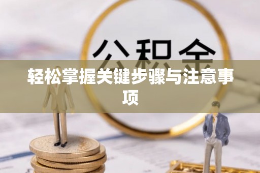 镇赉轻松掌握关键步骤与注意事项