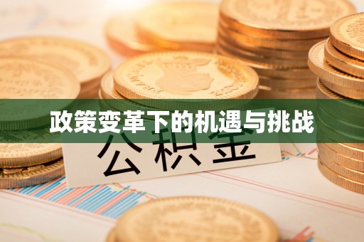 镇赉政策变革下的机遇与挑战