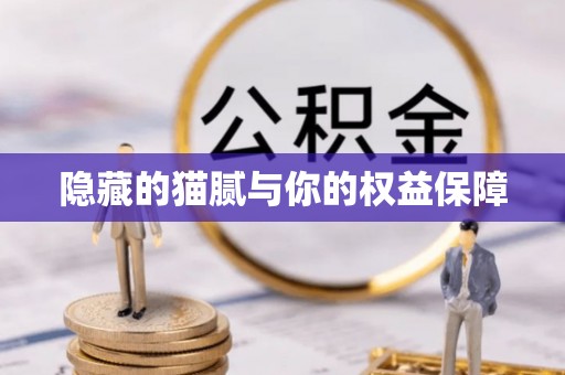 镇赉隐藏的猫腻与你的权益保障