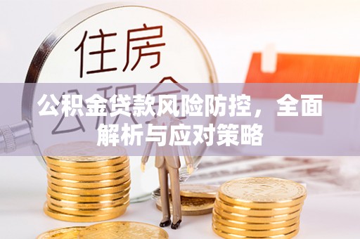 镇赉公积金贷款风险防控，全面解析与应对策略