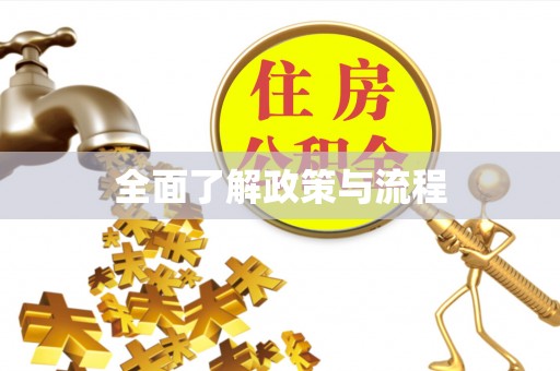 镇赉全面了解政策与流程