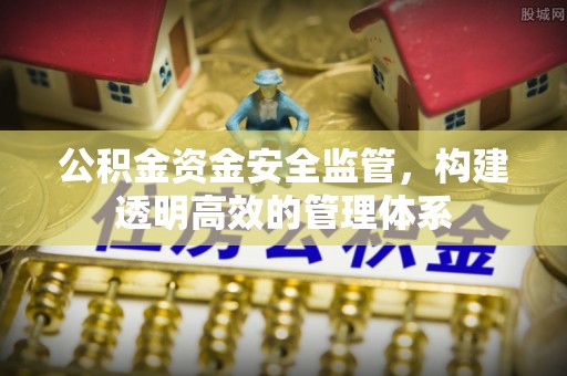 镇赉公积金资金安全监管，构建透明高效的管理体系