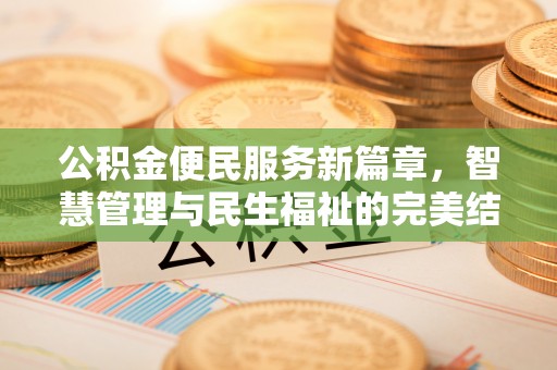 镇赉公积金便民服务新篇章，智慧管理与民生福祉的完美结合
