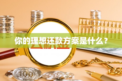 镇赉你的理想还款方案是什么？