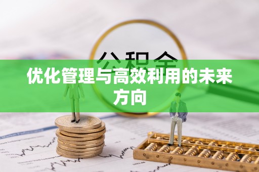 镇赉优化管理与高效利用的未来方向