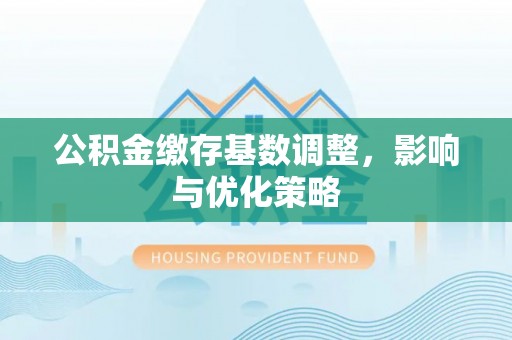 镇赉公积金缴存基数调整，影响与优化策略