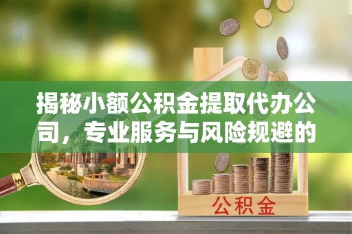 镇赉揭秘小额公积金提取代办公司，专业服务与风险规避的平衡艺术