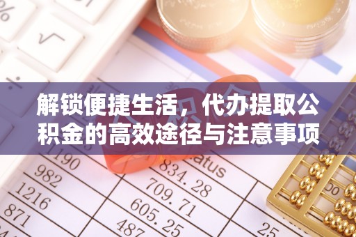 镇赉解锁便捷生活，代办提取公积金的高效途径与注意事项