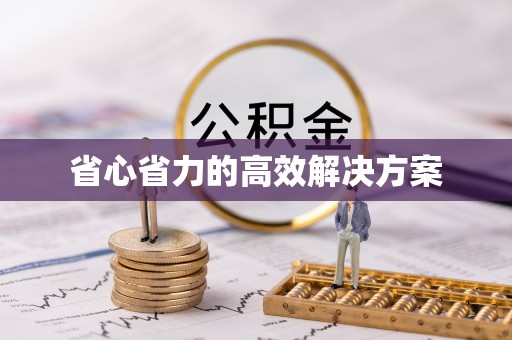 镇赉省心省力的高效解决方案