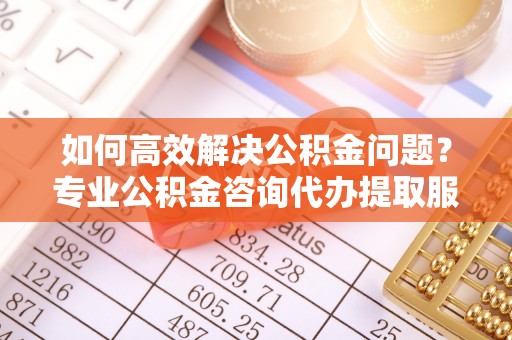 镇赉如何高效解决公积金问题？专业公积金咨询代办提取服务来帮你