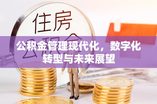 镇赉公积金管理现代化，数字化转型与未来展望