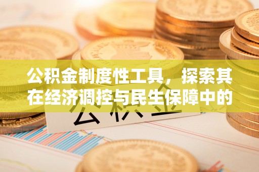 镇赉公积金制度性工具，探索其在经济调控与民生保障中的重要作用